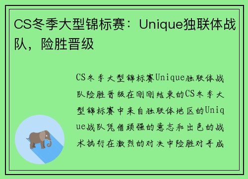 CS冬季大型锦标赛：Unique独联体战队，险胜晋级