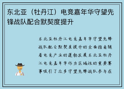 东北亚（牡丹江）电竞嘉年华守望先锋战队配合默契度提升